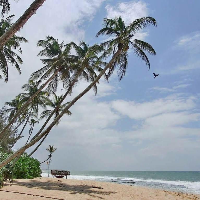 Ocean Breeze Apartment Colombo Exterior foto